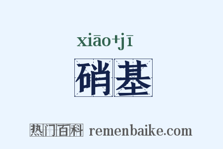 硝基是什么意思的图片